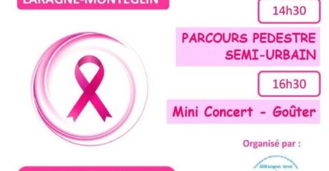Octobre rose Samedi 3 octobre à Laragne-Montéglin
